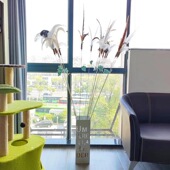 宠物用品猫玩具超长杆山鸡毛 鸵鸟毛逗猫棒互动铃铛逗猫玩具