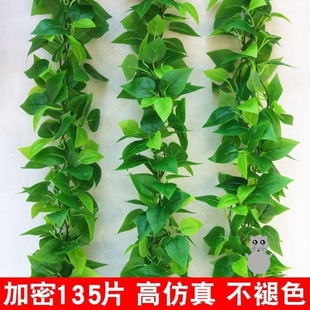 饰室内假树叶绿藤蔓植物壁挂遮挡 墙面挂饰绿植仿真藤条葡萄叶装