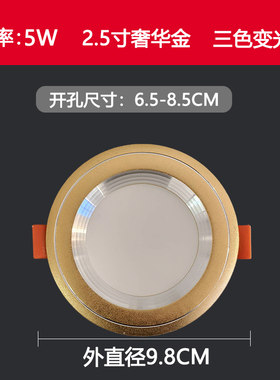 金边led筒灯吊顶桶灯家用客厅嵌入式孔灯洞灯天花灯7公分led射灯
