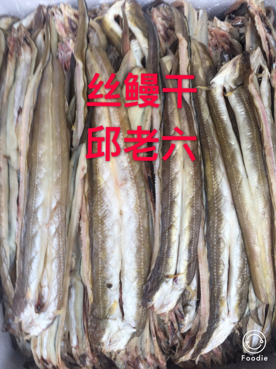 油鳗干丝鳗鱼七星鳗1000g酒店清蒸烧烤油炸邱老六连江顺丰包邮图片