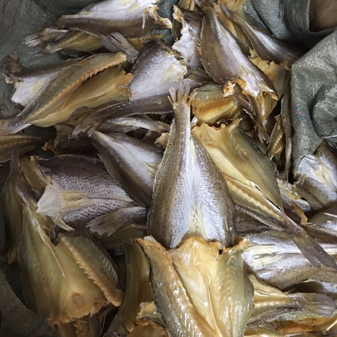 白梅瓜母特产包邮春只鱼干图片