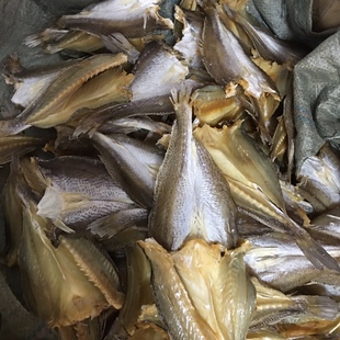 春只鱼干黄鱼白梅瓜母九成干福州连江邱老六特产干货450克包邮