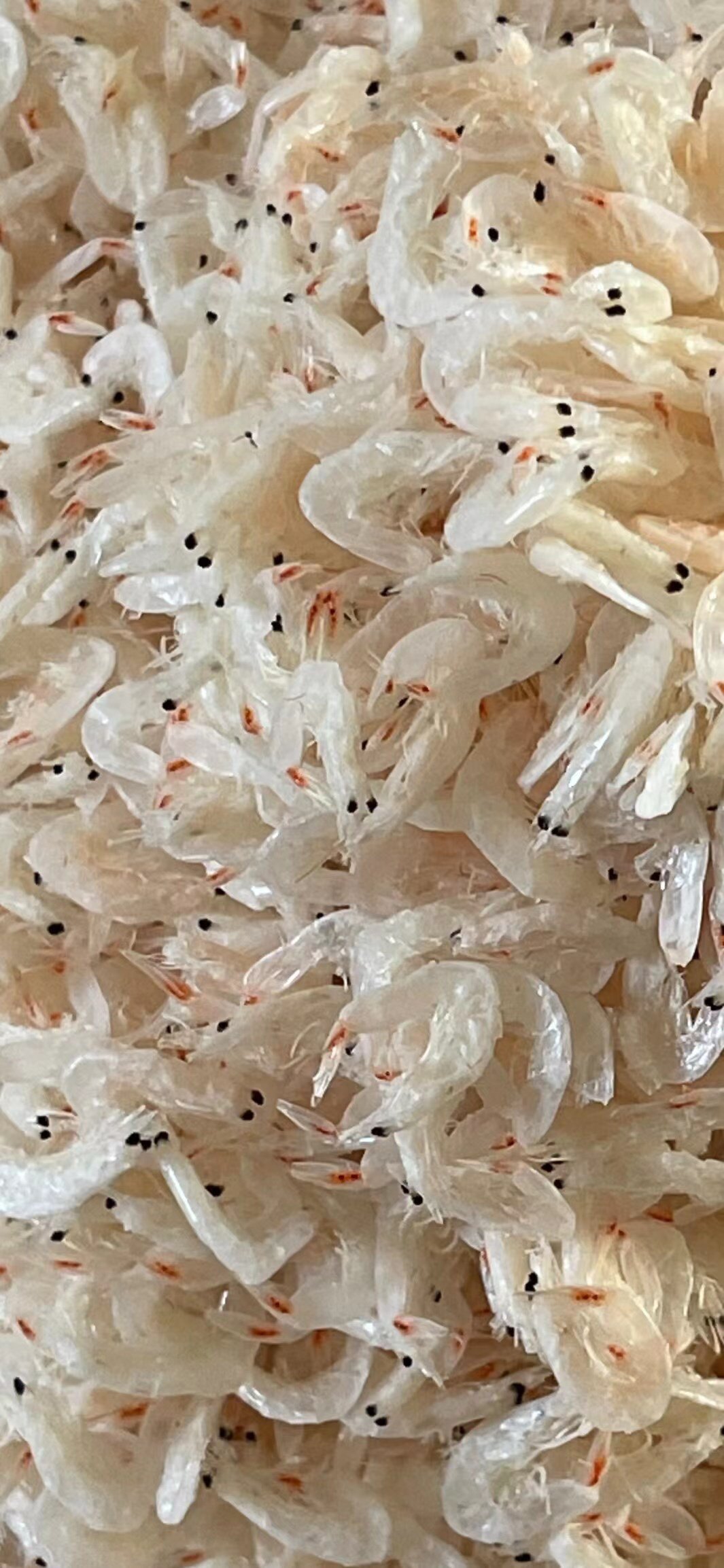 虾皮虾米淡干不咸大虾皮海捕50虾皮