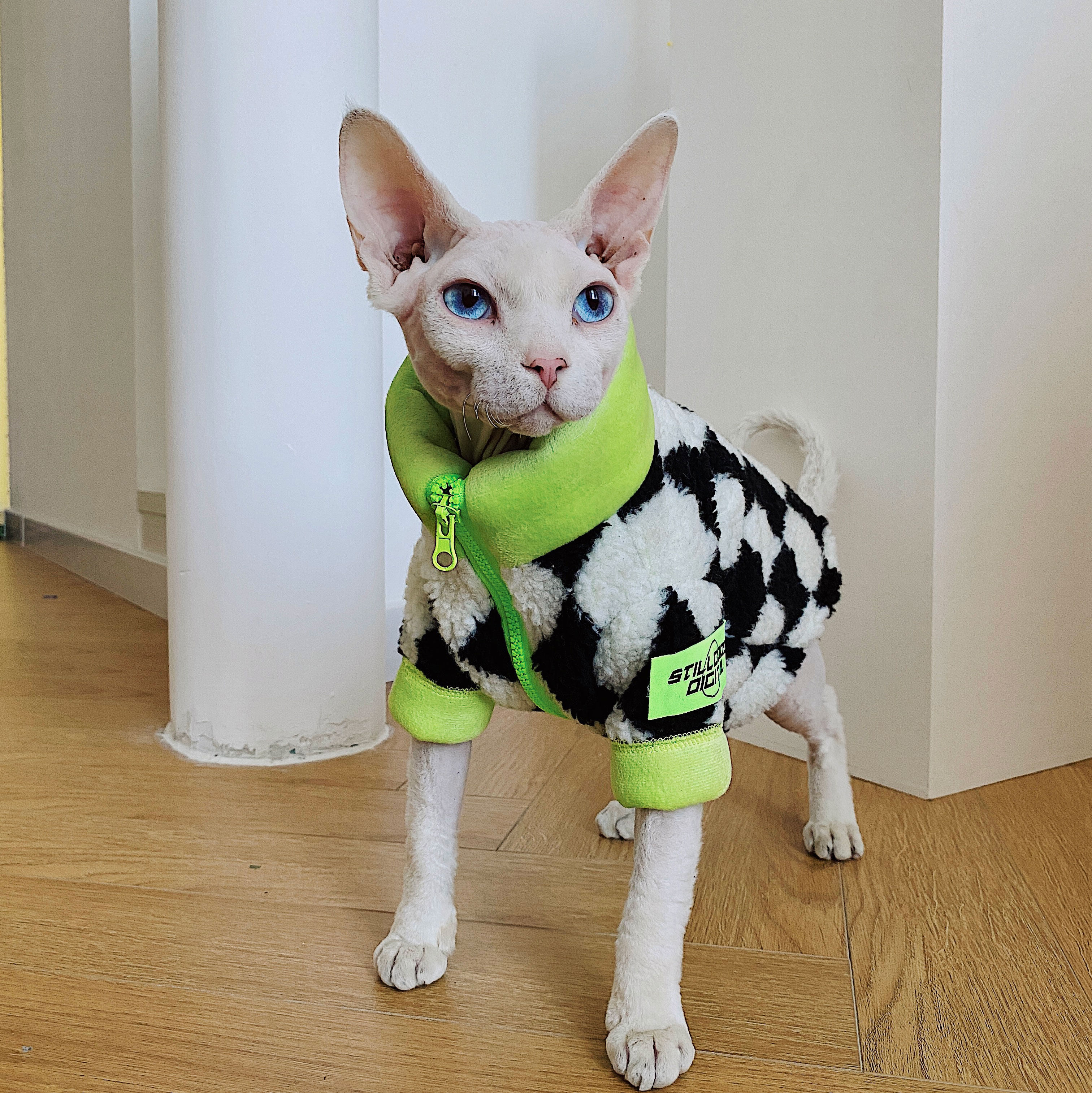 sphynx planet 无毛猫衣服斯芬克斯德文冬季保暖加绒里羊羔毛超厚