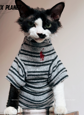 PHYNXPLANET斯芬克斯德文无毛猫衣服潮冬季新款宠物猫衣服保暖绒
