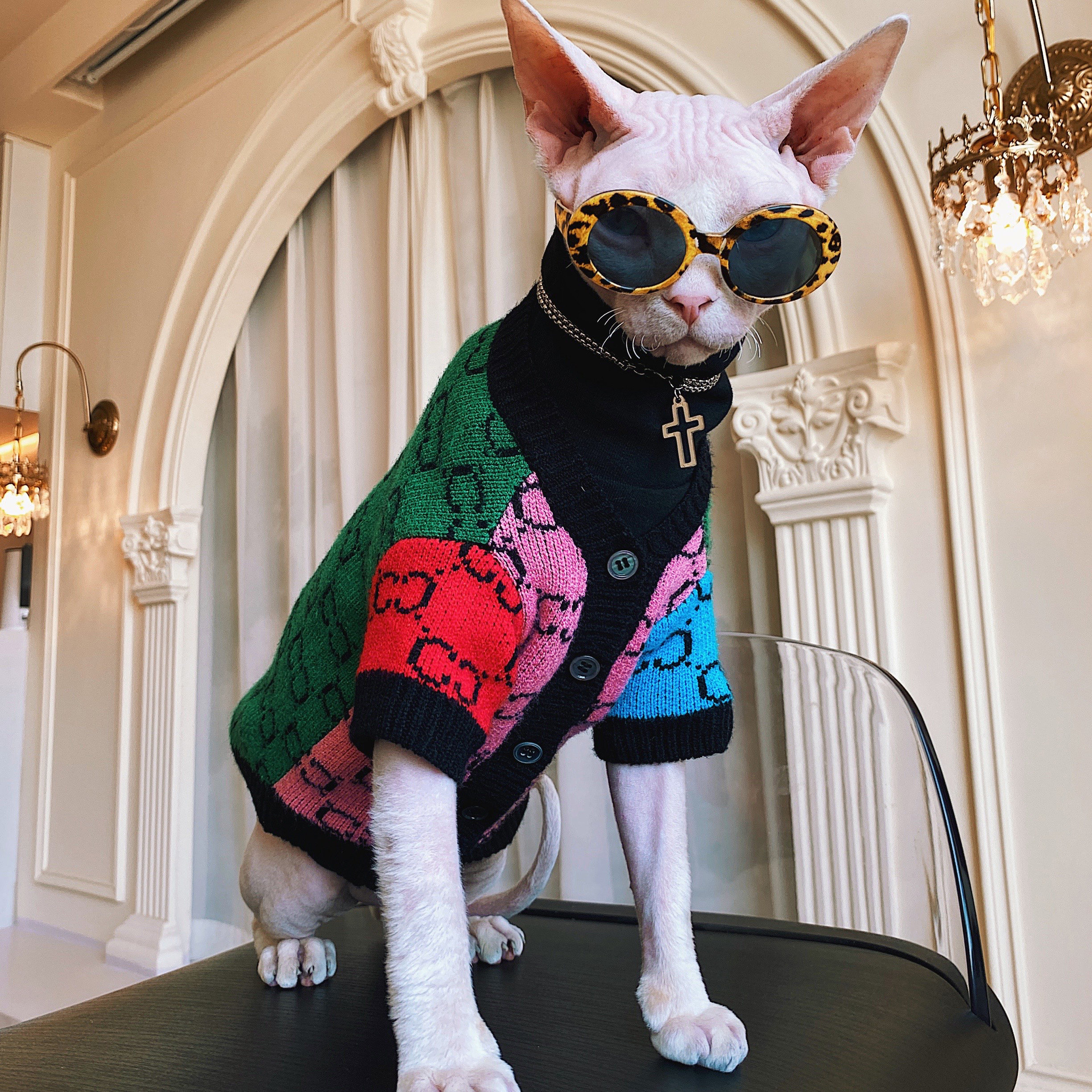 sphynx planet无毛猫衣服德文斯芬克斯撞色网红秋冬开衫宠物毛衣