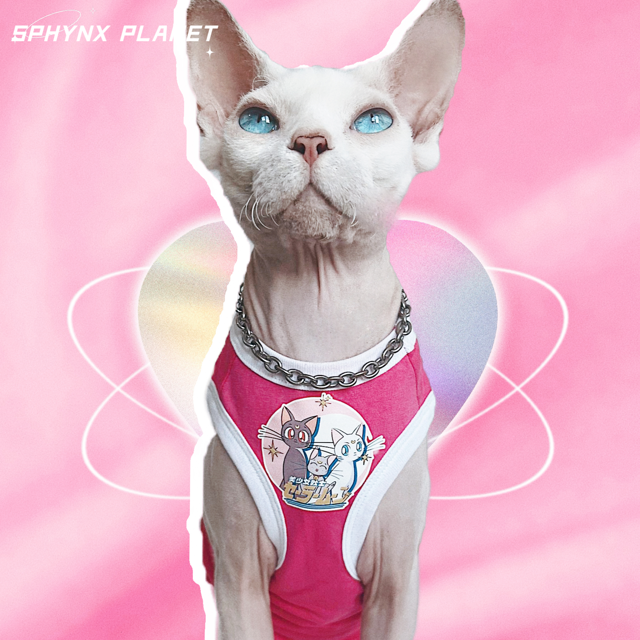 无毛猫SPHYNXPLANET薄款纯棉背心