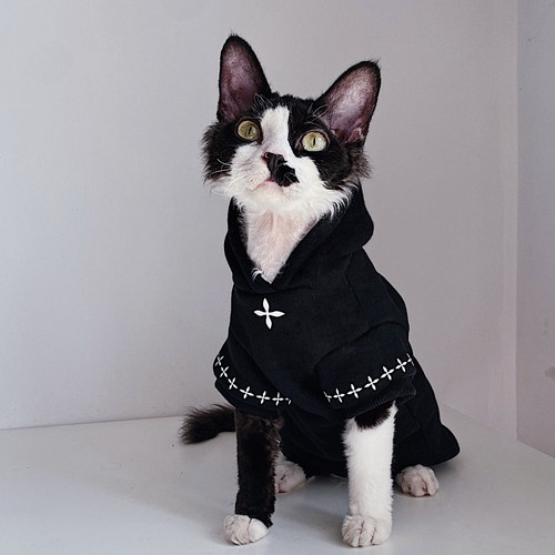 五毛猫斯芬克斯德文猫衣服季保暖