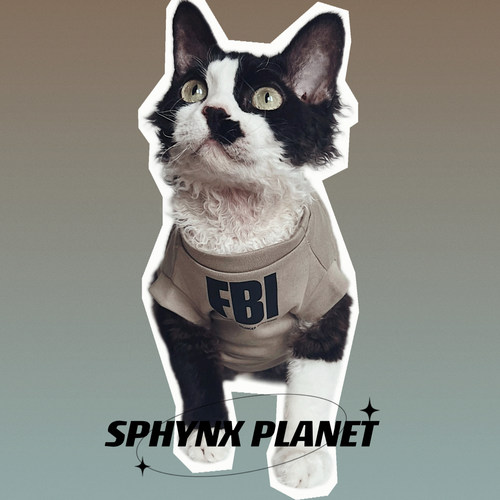夏季纯棉防掉毛透气宠物猫狗衣服