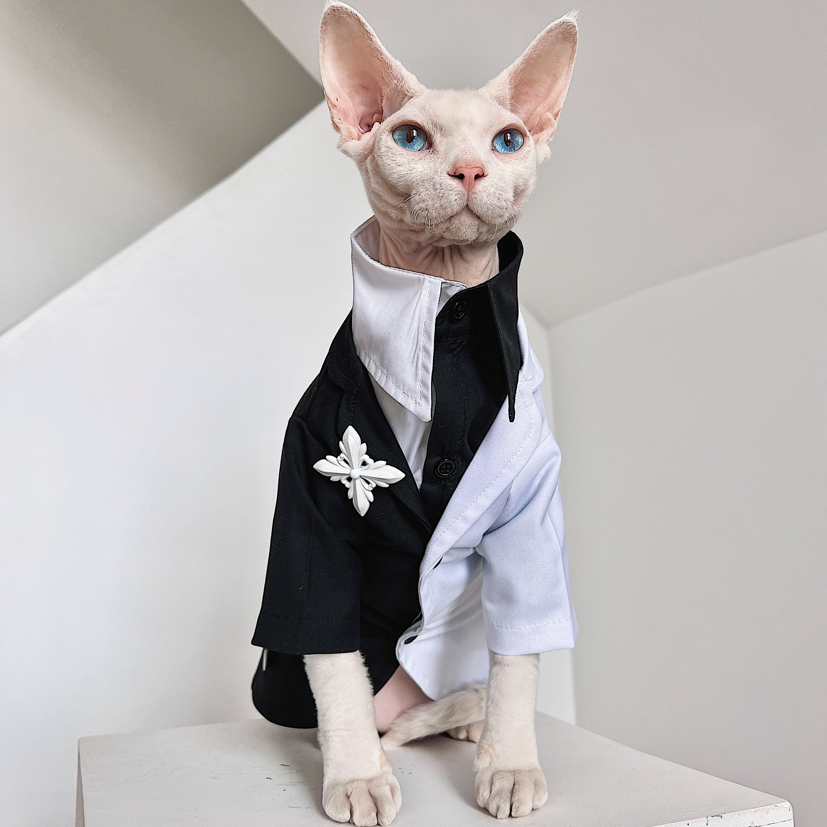 无毛猫星球宠物衣服黑白拼接西装