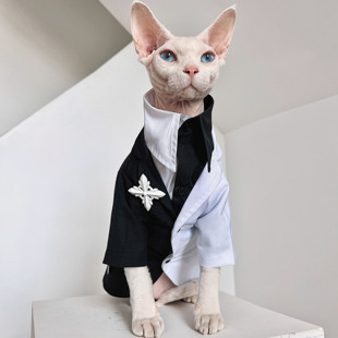 德文衣服斯芬克斯无毛猫星球黑白拼色潮款西装衬衫宠物礼服套装
