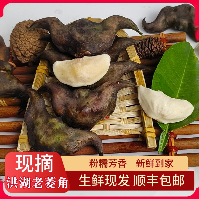 洪湖老菱角新鲜生黑乌菱角粉糯
