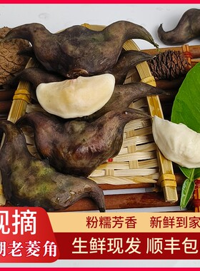 洪湖老菱角新鲜生黑乌菱角粉糯
