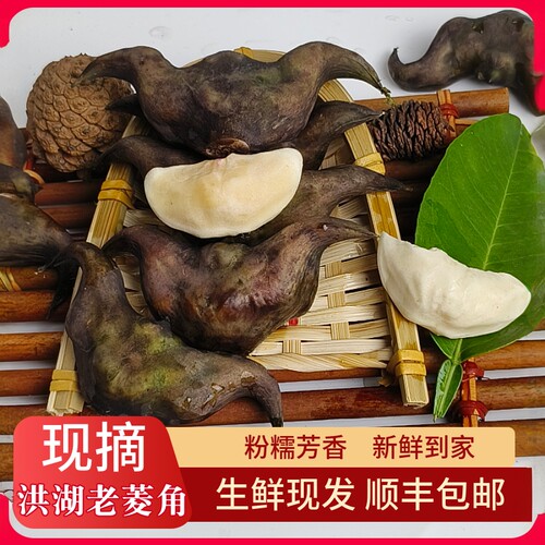 洪湖老菱角新鲜生黑乌菱角粉糯