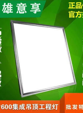 集成吊顶600x600led平板灯石膏矿棉板嵌入式60x60LED面板灯工程灯