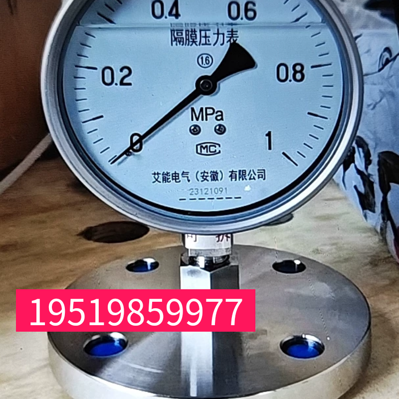 YTP100BF DN25不锈钢防腐耐酸MF膜片式单法兰不锈钢隔膜压力表 - 实物图
