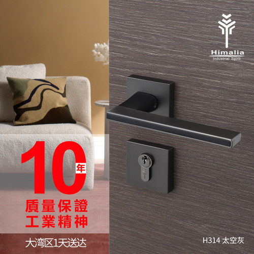 Himalia不锈钢卧室门锁门把手