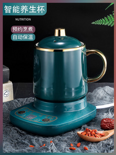 煮粥杯BB粥 迷你电炖杯养生杯办公室电炖锅花茶壶多功能便捷式
