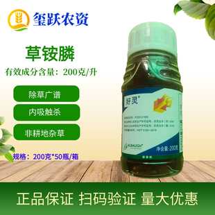 龙灯好灵草铵膦果园香蕉园非耕地荒地阔叶尖叶圆叶杂草除草剂