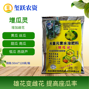 增瓜灵 黄瓜甜瓜苦瓜丝瓜瓠子西葫芦南瓜增加雌花提高座果率