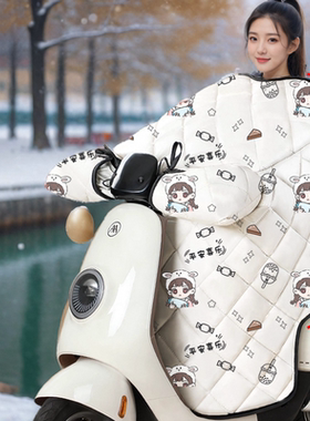 专用爱玛FX3Pro电动车冬季挡风被加绒加厚防水防寒电瓶冬天防风罩