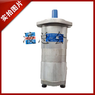 合肥长源齿轮泵CBWL-E316/E308-ALP/ALPL/ALH/ALHL/ALZ/ALZL