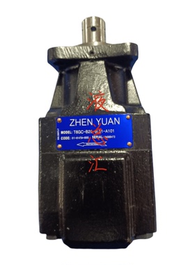 T6GC-B25-6L01-A101叶片泵T7B T6GC T6D T6E T7D单联泵双联泵