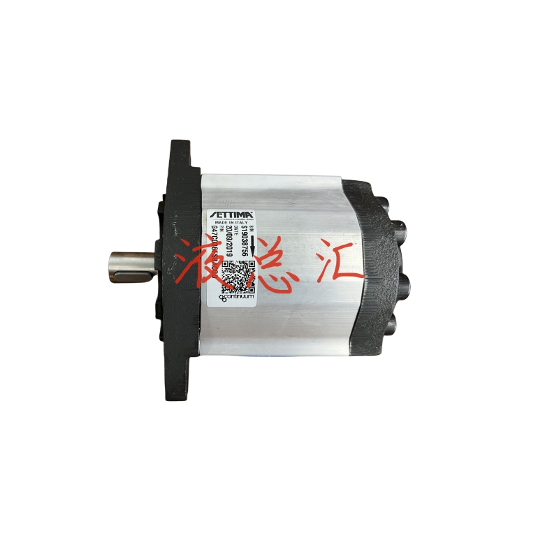 伺服油泵G55C050FSBACOEDV平键轴螺杆泵63/75/90/FSBACOEDV