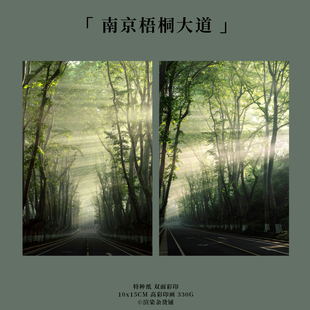 明信片「南京梧桐大道」渲染翌嘉摄影原创 丁达尔光线梦核