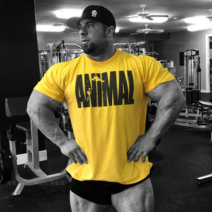 环球野兽肌肉男短袖 T恤健身舒适弹力棉ANIMAL运动服胖子显壮上衣
