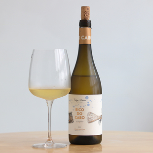 「小葡兰西」哇!!!这酒也太神奇啦~西班牙阿尔巴利诺干白葡萄酒