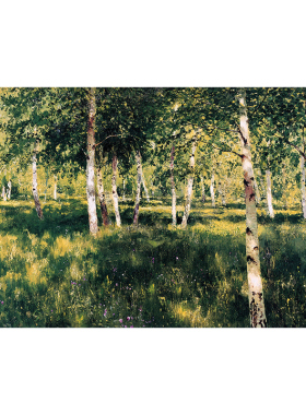 国外油画名家列维坦装饰画画芯客厅背景Isaac Levitan (04)