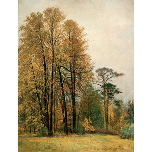 国外油画风景写实希施金装 Shishkin Ivan 饰画客厅挂画