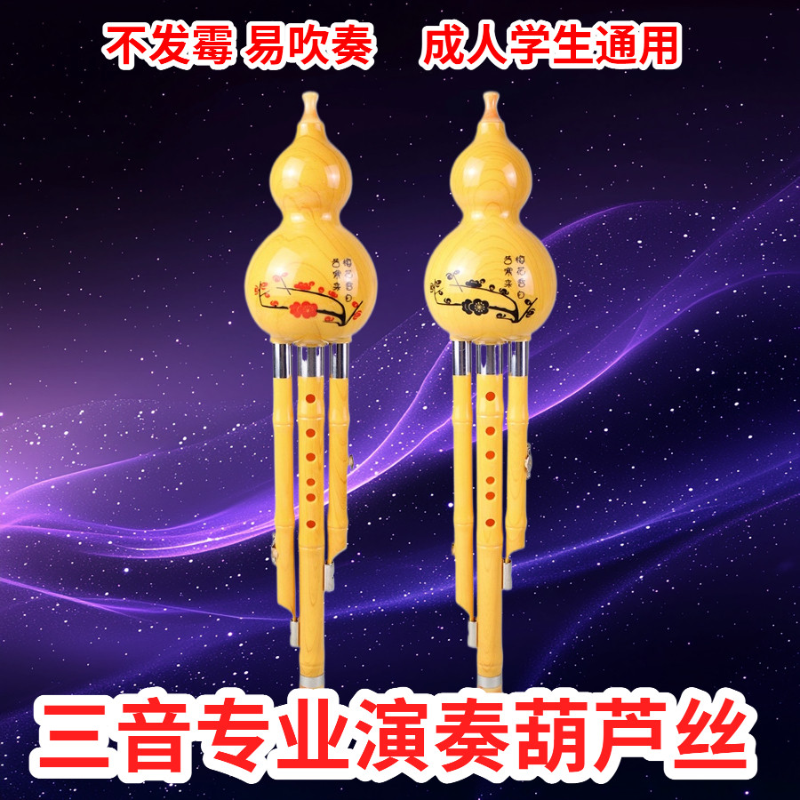 树脂仿真木葫芦丝三音可拆C调降B调专业演奏乐器一件代发演奏型