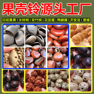 10粒黑果夹竹桃水铃桐鸭腱藤果壳风铃材料天然果壳手铃乐器配件