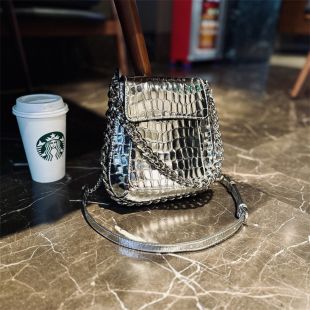 欧美时尚 休闲牛皮女包银色小手机包斜挎小包 真皮链条包潮2025新款