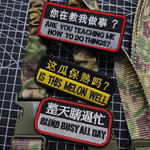 整天瞎逼忙魔术贴章 这瓜保熟吗士气章 你在教我做事臂章包贴徽章