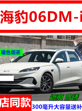适用比亚迪海豹06DM-i暖色烟茶色自喷漆划痕修补06dmi灰色补漆笔