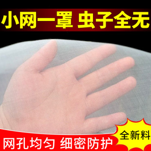 农用防虫网蔬菜大棚果园露地通用加厚加密防虫防鸟抗老化透光透气