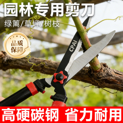 园艺剪刀家用花剪修枝剪果树枝草坪绿篱剪苗圃园林绿化粗枝大剪刀