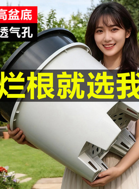 特大花盆大口径黑加仑盆栽花盆加厚黑色矮胖加仑花盆塑料蓝莓盆
