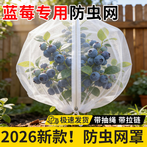 蓝莓防鸟罩蓝莓专用防虫网罩果树樱桃蓝莓杨梅蔬菜花卉绿植防鸟
