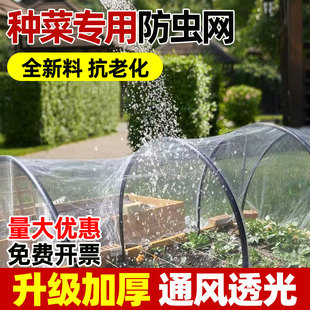 防虫网种菜专用蔬菜大棚果园露地通用加厚加密防虫防鸟抗老化透光