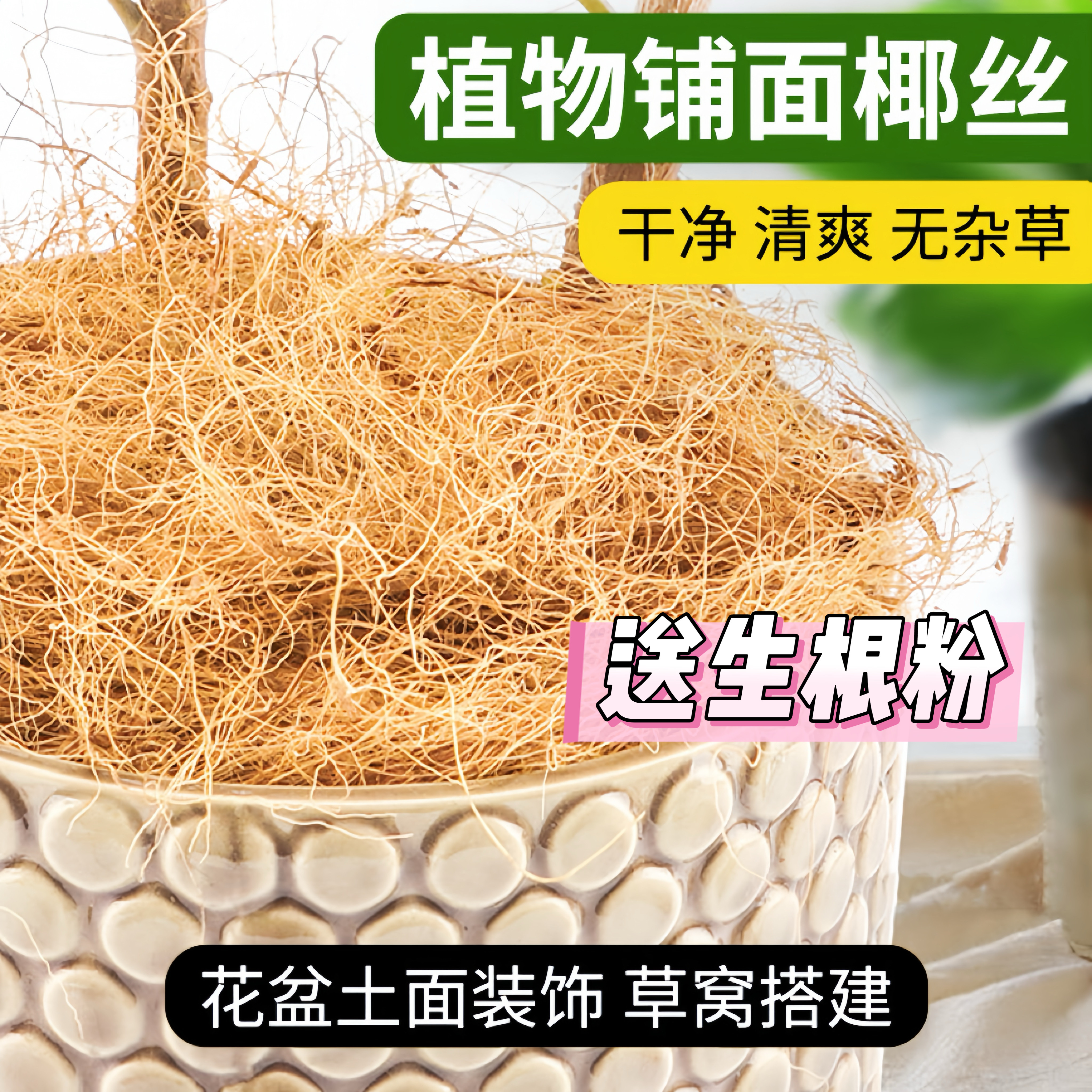椰丝铺面盆景铺面草花盆土面装饰草丝鸟窝草窝椰丝垫料盆栽椰棕丝,鲜花速递/花卉仿真/绿植园艺,土壤覆盖物,淘宝优惠券,粉丝福利购,淘宝优惠卷