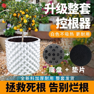 控根器植树专用白色加厚底盘控根种花种植围板花盆高培围网种菜