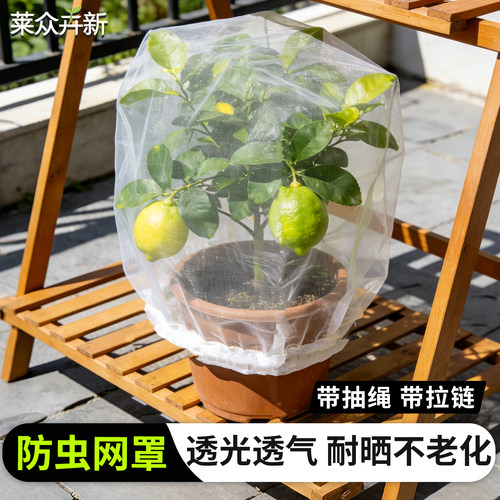 果树防虫网罩樱桃蓝莓嘉宝果杨梅枇杷树防鸟防果蝇网袋种菜防鸟罩