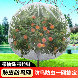 果树防虫网防鸟罩袋蓝莓杨梅莲雾水果阳台防护番茄防果蝇防蚊透光