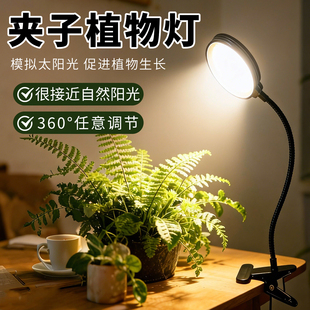 仿太阳全光谱植物补光灯防徒长夹子室内植物补光灯鱼缸多肉花卉