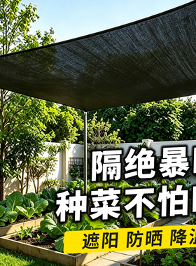 6针植物遮阳网种菜专用黑色防晒隔热网多肉花卉抗老化遮阴遮阳网