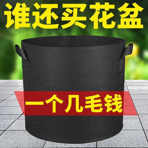 黑色加仑树袋无纺布袋育苗袋